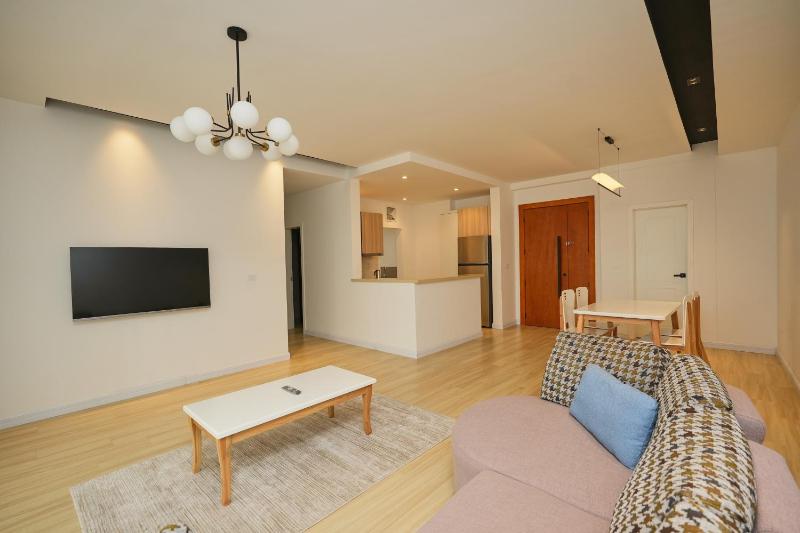 Modern Downtown Bole apartment - image 1