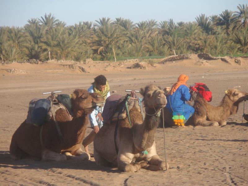 Riad Aicha & Camel Trekking - image 40