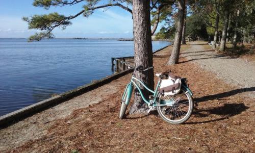 New Listing Updated Beach Cottage&Community Perks - image 15