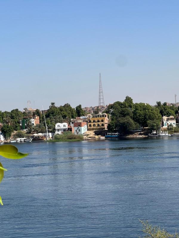 Aswan Holistic Hotel - image 2