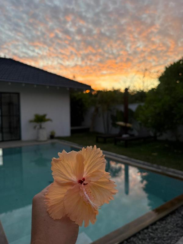 Mãna Villa Ahangama - image 10