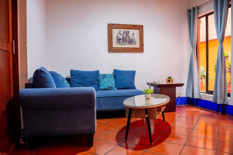 Hotel Suites Del Centro - image 8