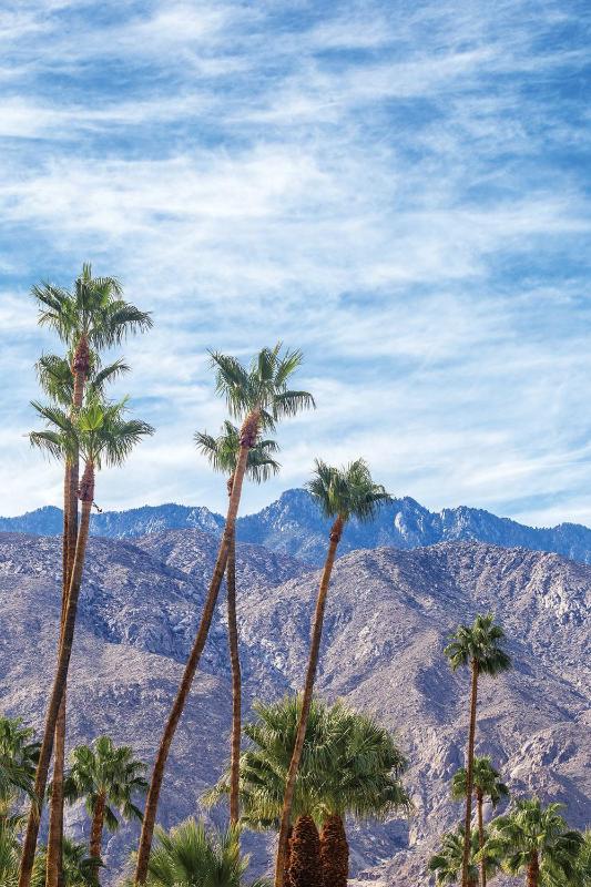 WorldMark Palm Springs - image 23