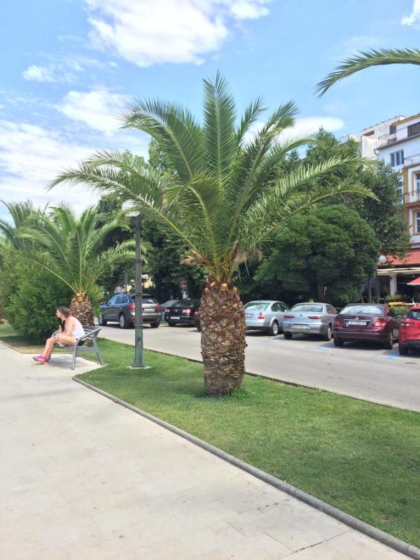 Villa Ana - image 40