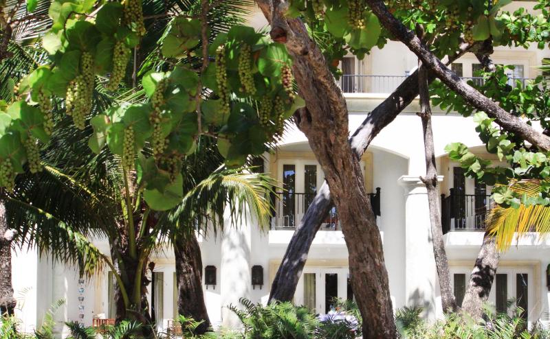 Casa Colonial Beach & Spa - image 19