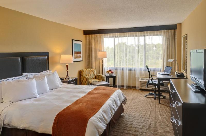 King Guest Room with Fridge - Non-Smoking image 1