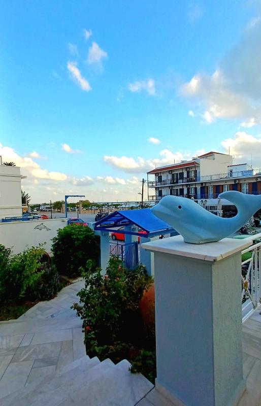 Dolphin Hotel - image 41