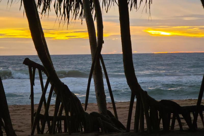 Colours Beach - image 42