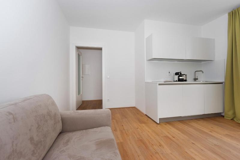One-Bedroom Apartment image 3