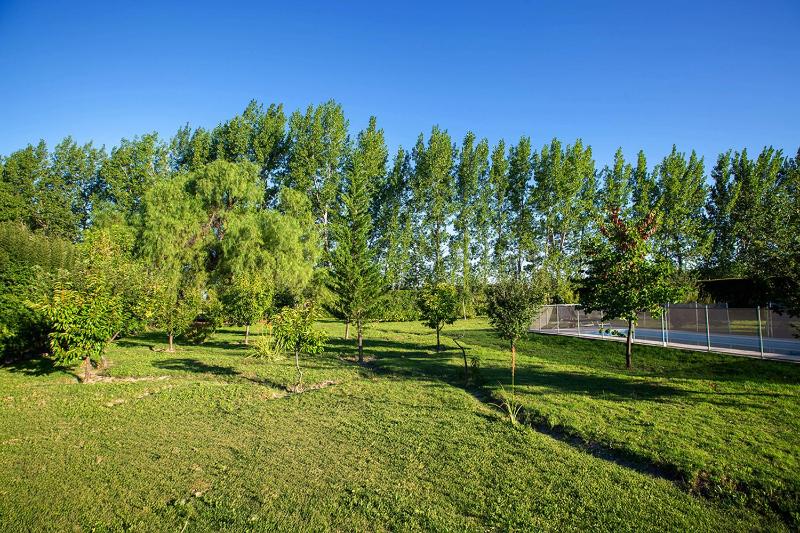 Posada Maral San Rafael - image 7