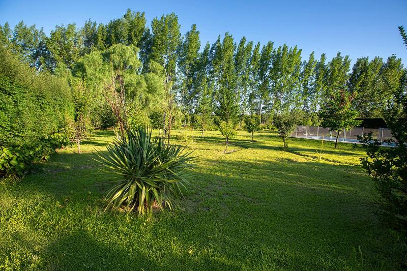Posada Maral San Rafael - image 3