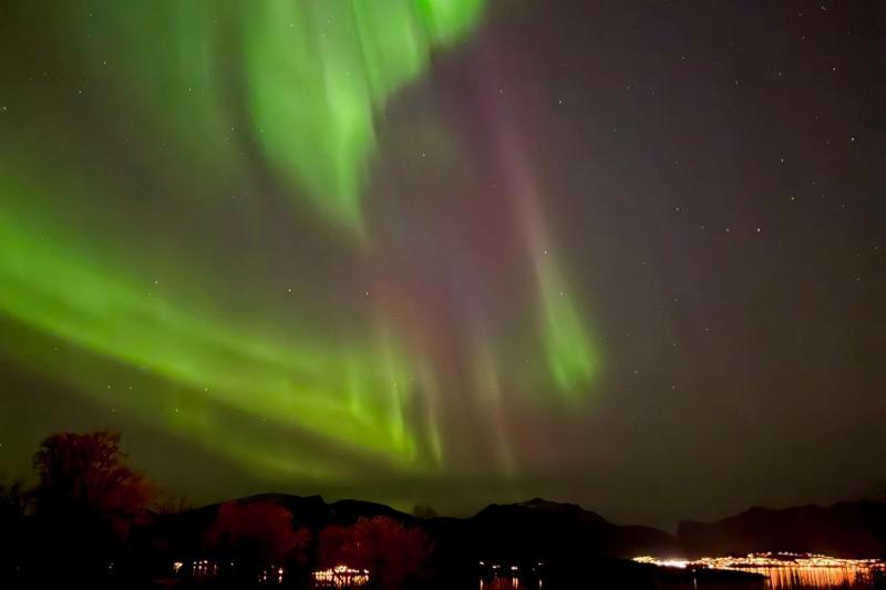 Central Apartment I Nice View I Northern Lights - image 9