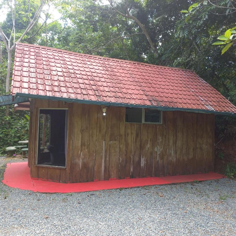 La Ceiba Ecoadventures Wildlife Reserve - image 4