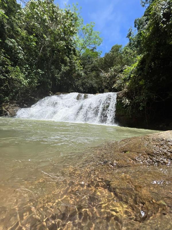 La Ceiba Ecoadventures Wildlife Reserve - image 8
