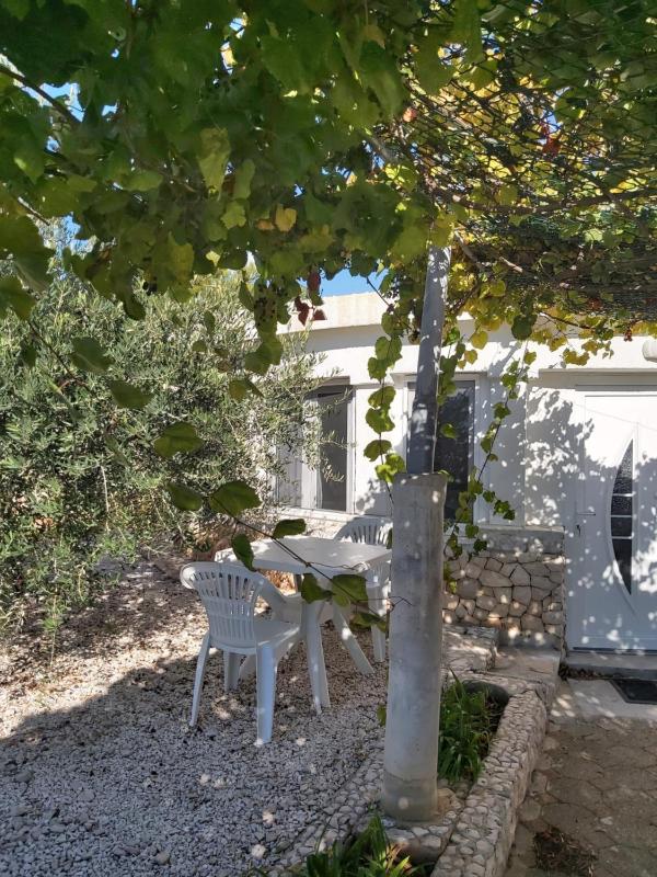 Little Seafront House Dolac Primošten - image 4