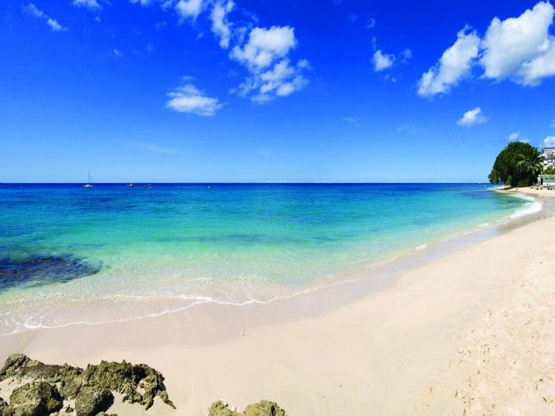 Pear Tree House Barbados - image 3