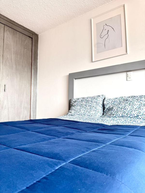 Allegro Polanco - image 18