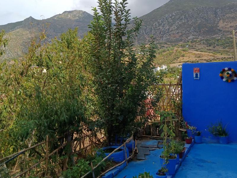 Casa laila - image 4