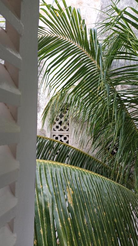 NOMAD Hostel Stone Town - image 5