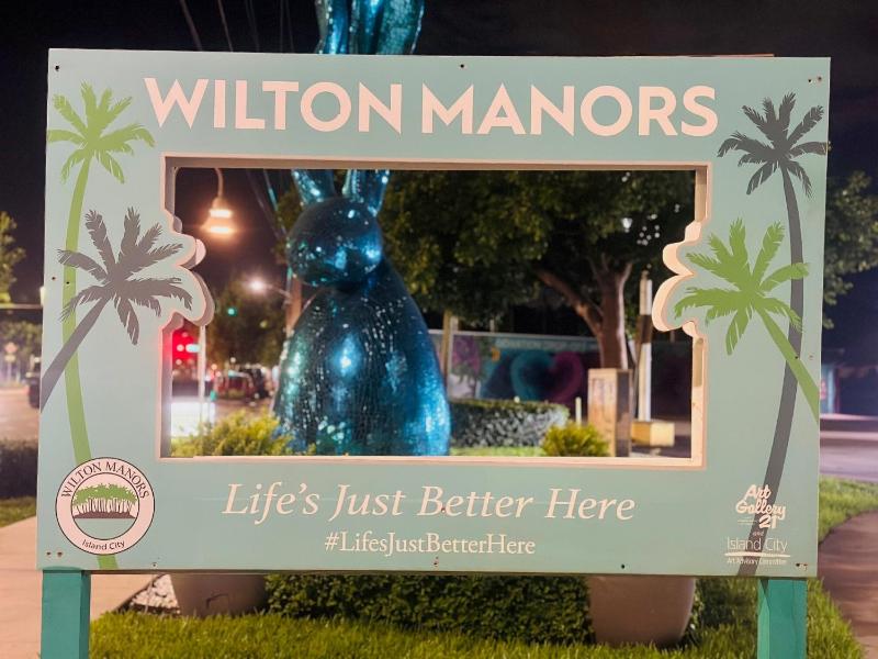 Wilton Manors Guesthouse - image 8