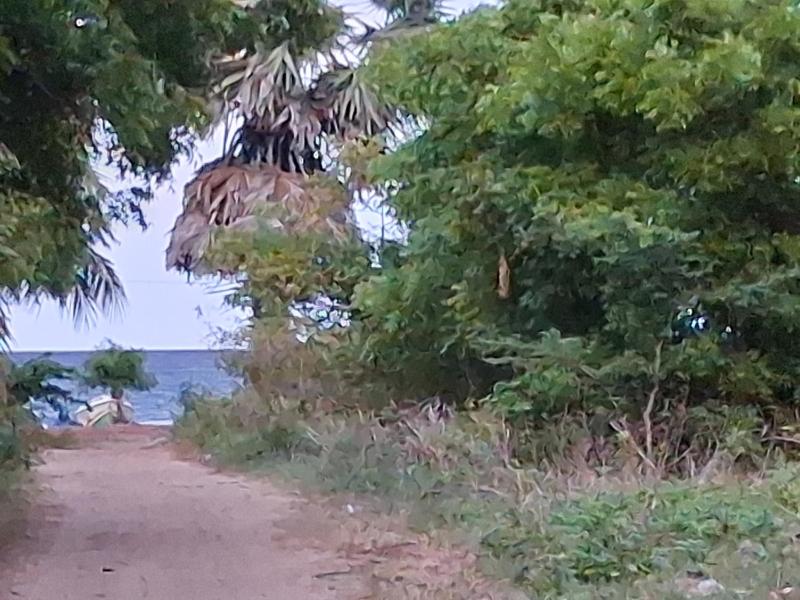 Surf reef beach - image 32