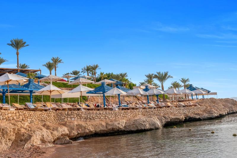 Grand Oasis Resort - image 14