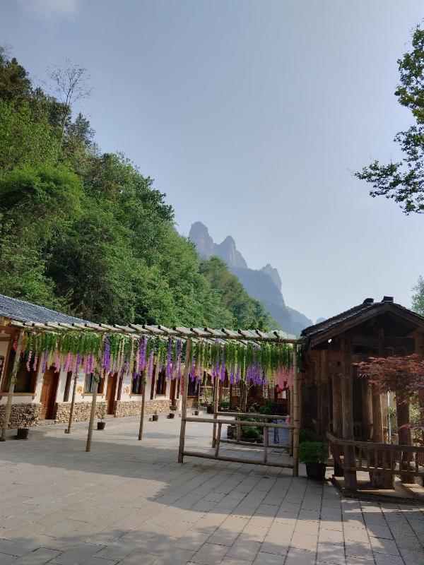 Wulingyuan Zhangjiajie National Forest Park Qique Villa - image 36
