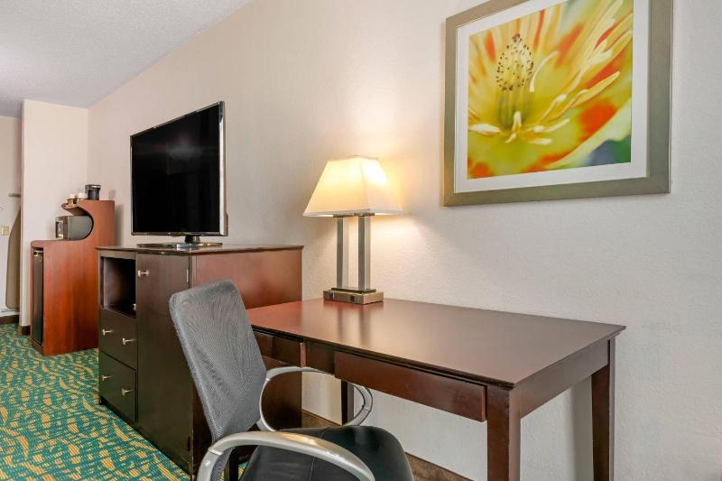 Comfort Inn & Suites Fort Lauderdale West Turnpike - image 6
