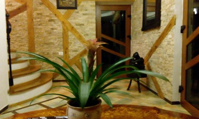 Hanul Cappsha - image 12