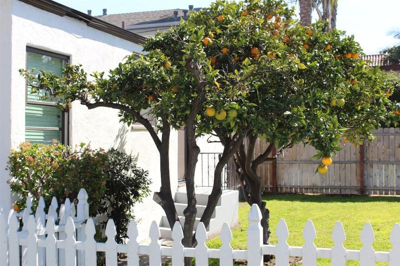 Sweet n Cozy Cottage near Little Italy & Gaslamp - image 6