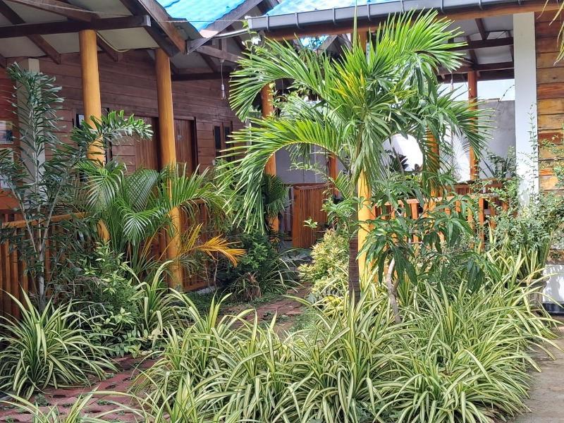 Bashi eco beach cabana - image 38