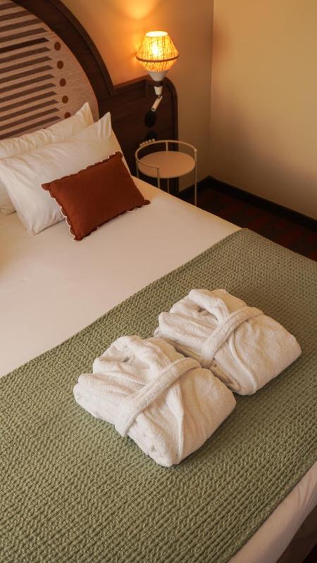 Mercure Arles Centre Arenes - image 8