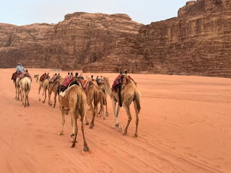 Wadi rum naef camp - image 6