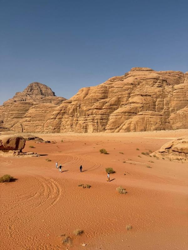 Wadi rum naef camp - image 12