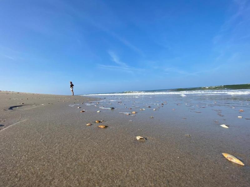 Strandnahes Nr 156 Ferienhaus mit traumhaften Wintergarten und uneinsehbaren grossen Garten Eckgrundstück - image 6