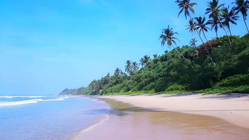 Surf Dine - image 2