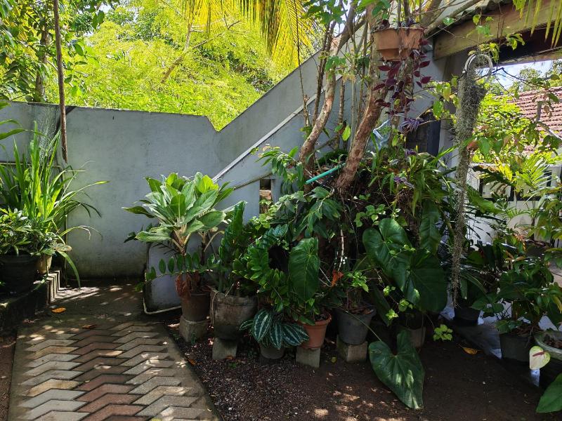 Thaksilu Home - image 14