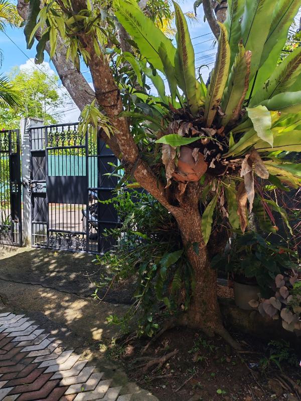 Thaksilu Home - image 7