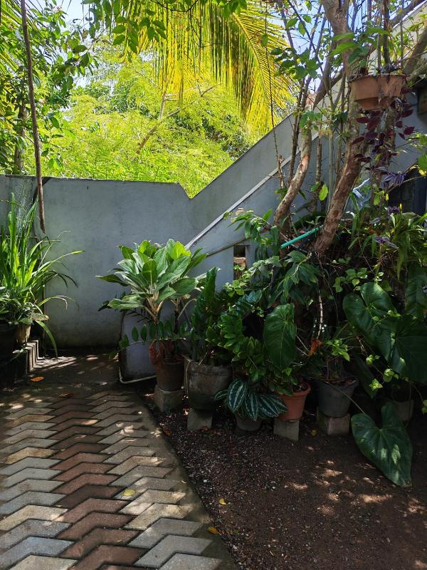 Thaksilu Home - image 9