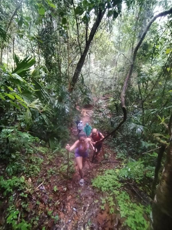 La Ceiba Biolgical Reserve - image 5