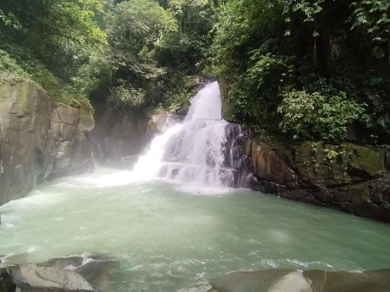 La Ceiba Biolgical Reserve - image 6