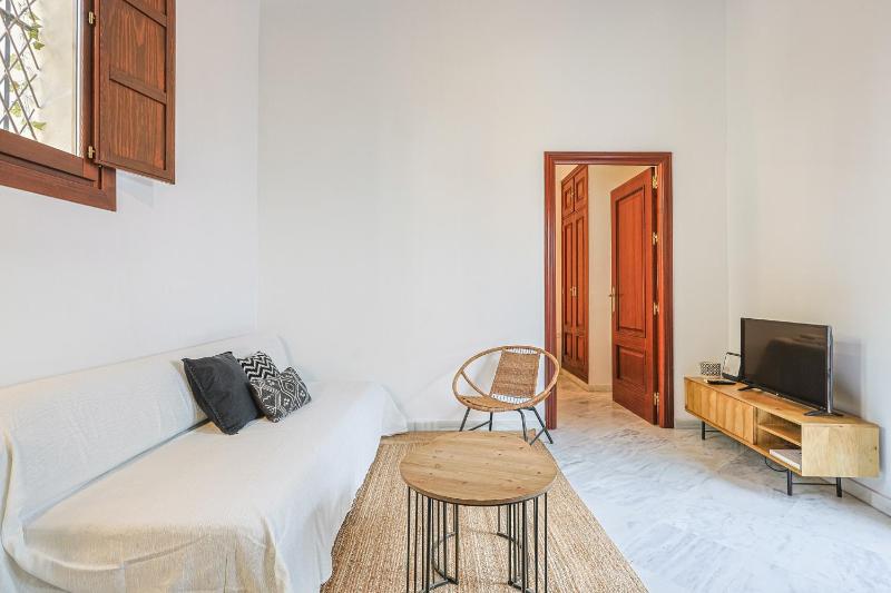 apartamento con encanto en centro Sevilla - Vacacional Sevilla - image 11