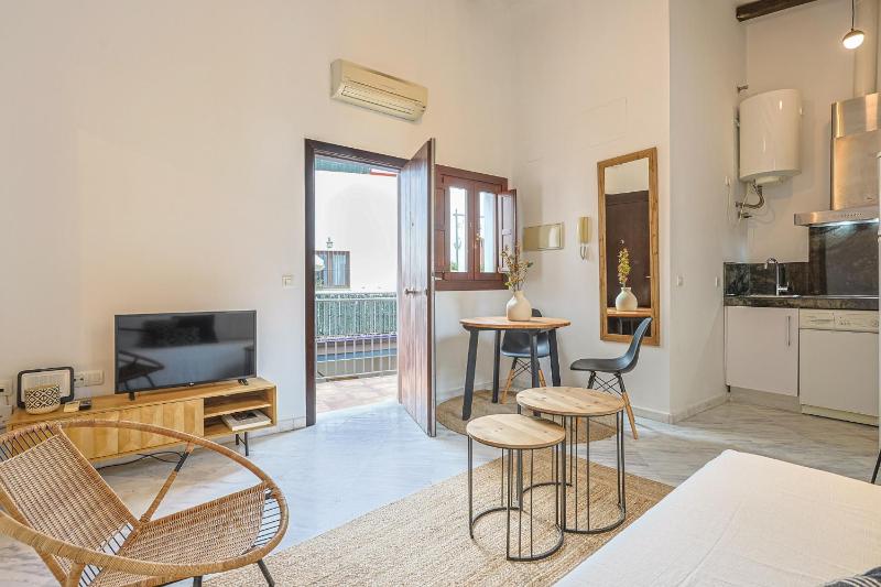 apartamento con encanto en centro Sevilla - Vacacional Sevilla - image 8