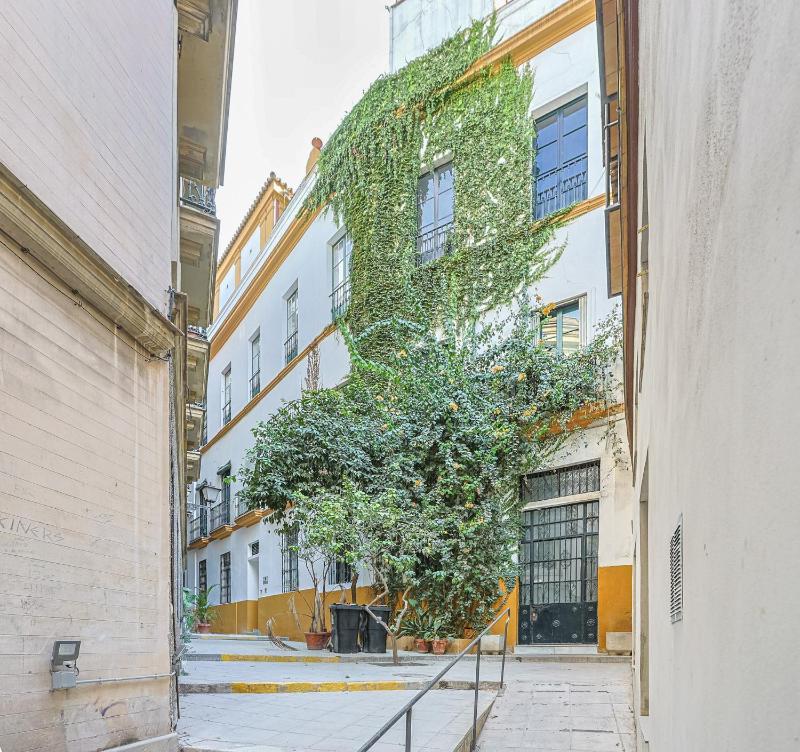 apartamento con encanto en centro Sevilla - Vacacional Sevilla - image 14