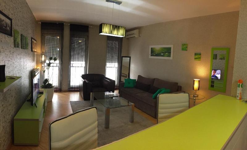 Vip apartment Beograd - image 8