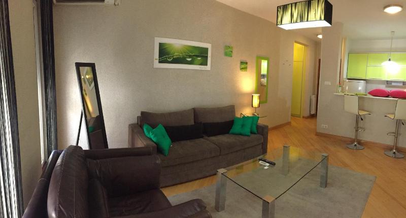 Vip apartment Beograd - image 9