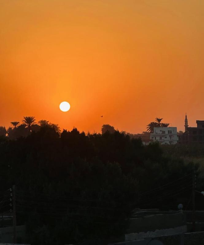 Morsy Palace - image 5