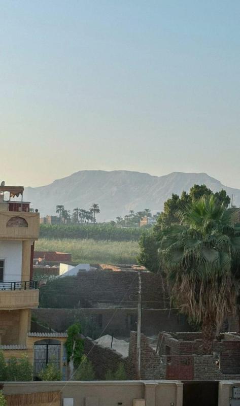 Morsy Palace - image 12