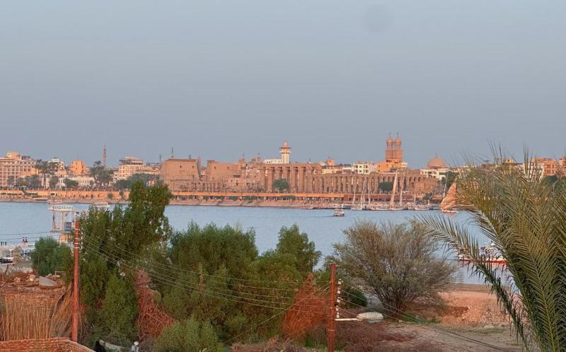 Morsy Palace - image 10