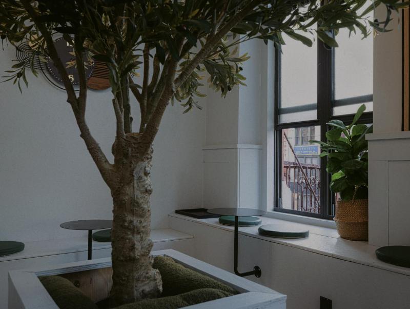 CityNest New York - image 5